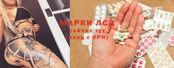 ешки Бородино