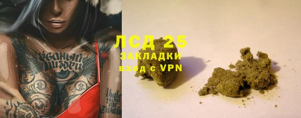 ешки Бородино