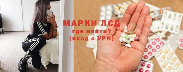 ешки Бородино