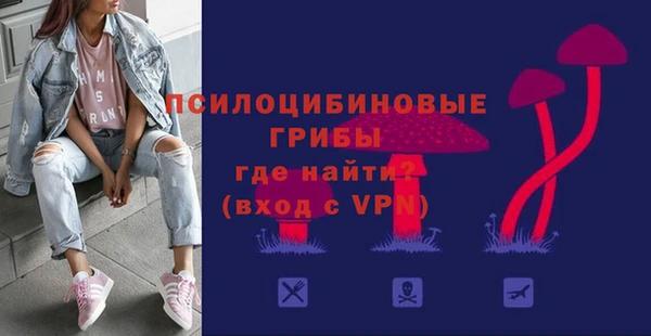 СК Волосово