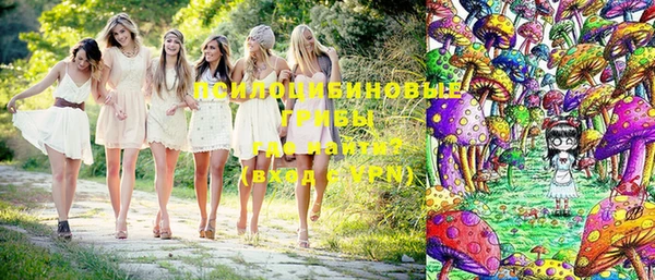 винт Бронницы