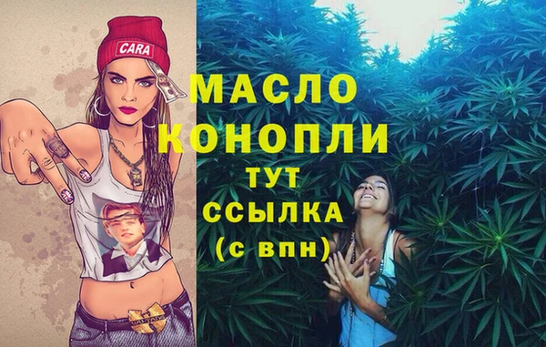 ешки Бородино
