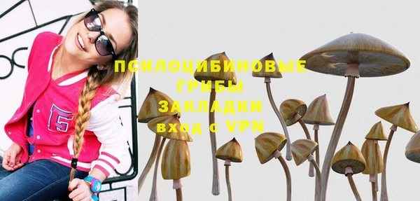 винт Бронницы