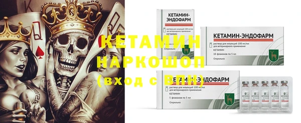 ешки Бородино