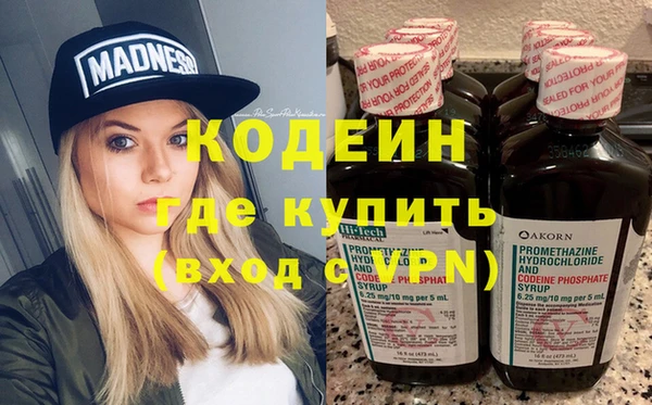 ешки Бородино